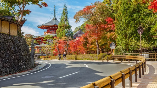 和歌山県高野山 (高野山) の徐の寺 — ストック写真