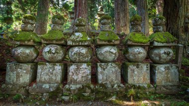 Okunoin Dağı 'ndaki mezarlıkta. Koya (Koya-san), Wakayama