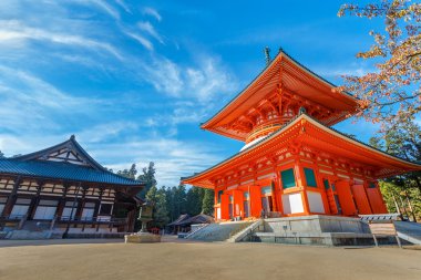 Konpon Daito Pagoda Danjo Garan tapınağında Koyasan alan: Wakayama, Japan