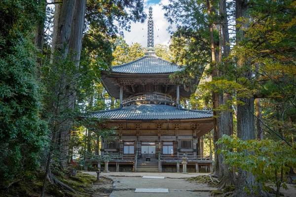 在日本和歌山县高野山区 Danjo 伽蓝寺齐藤 (西方舍利塔) — 图库照片