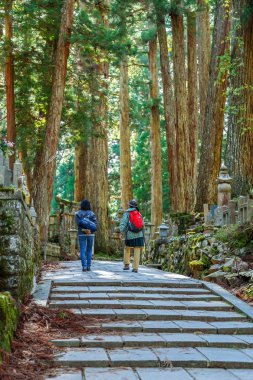 Okunoin Dağı 'ndaki mezarlıkta. Koya (Koya-san) Wakayama, Japonya