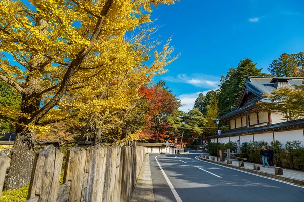 The Road to Danjo Garan Temple in Mt. Koya Area in Wakayama, Japan — Φωτογραφία Αρχείου