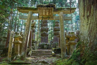 Okunoin Tapınağı, Wakayama, Japonya (Mt. Koya) Koyasan mezarlık bulunduðu