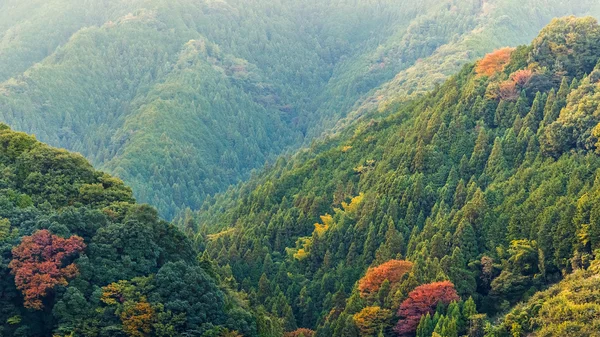 Widok w górach na drodze do koyasan w wakayama, Japonia — Zdjęcie stockowe