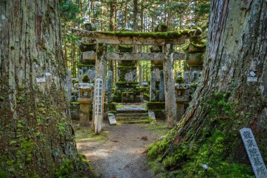 Okunoin Tapınağı, Wakayama (Mt. Koya) Koyasan mezarlık bulunduðu