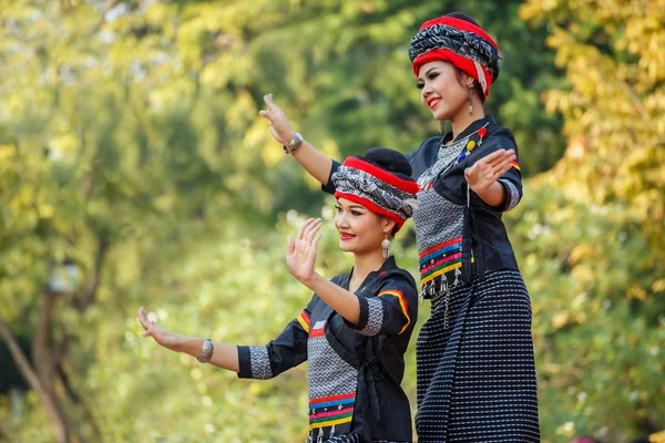 Thailändisches Kulturfestival — Stockfoto