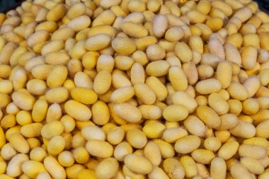 Tay ipek yapmak için hazırlanan malzeme