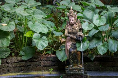 Tipik Tay Bahçe bir çeşme ve küçük gölet ile