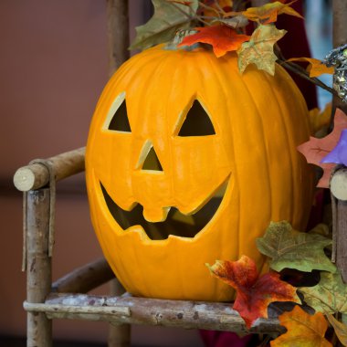 Cadılar Bayramı Balkabağı