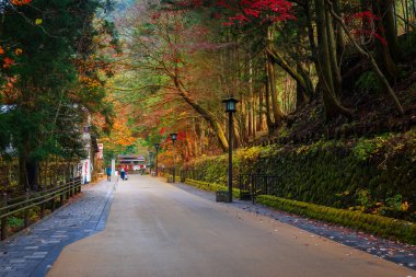 Nikko Taiyuinbyo Tapınağı ve Futarasan-jinja Tapınağı'na Giden Yol, Tochigi, Japonya