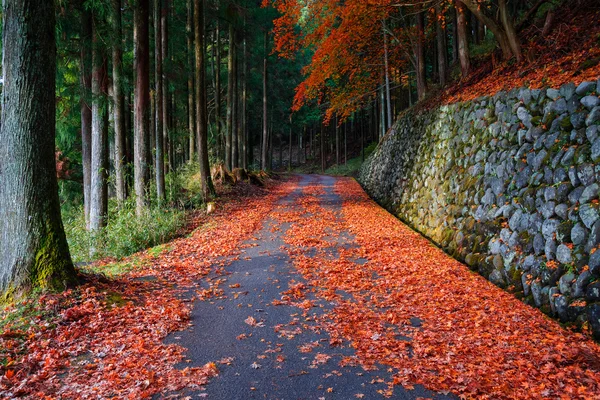 Der weg zum taiyuinbyo-schrein und futarasan-jinja-schrein in nikko — Stockfoto