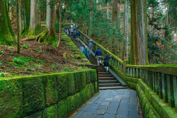 Каменные ступени к могиле Токугавы Иэясу в храме Тошо-гу — стоковое фото