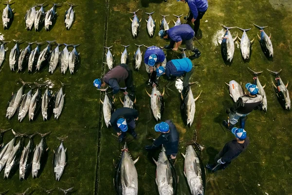 Katsuura Nigiwai Market en Wakayama, Japón —  Fotos de Stock