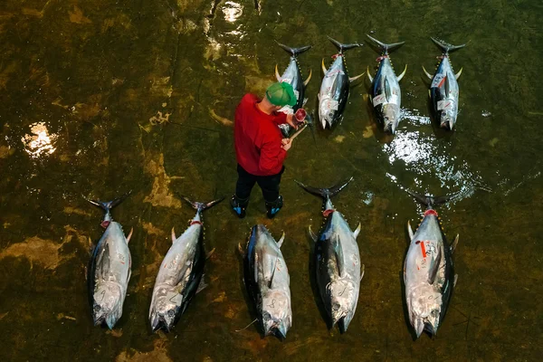 Katsuura Nigiwai Market en Wakayama, Japón —  Fotos de Stock