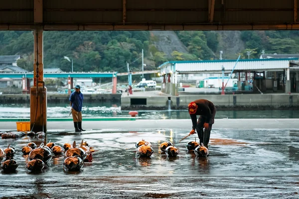 胜浦 Nigiwai 市场在和歌山县，日本 — 图库照片