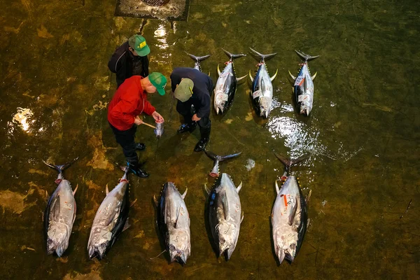 Katsuura Nigiwai Market en Wakayama, Japón —  Fotos de Stock