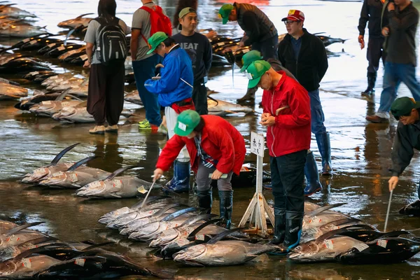 Katsuura Nigiwai Market en Wakayama, Japón —  Fotos de Stock