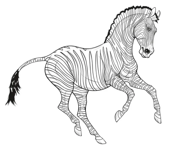 Galopperande Slätter Zebra Stack Upp Sina Öron Linjär Svartvit Illustration — Stock vektor