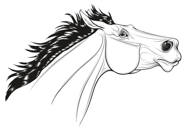 頭を上げてサラブレッドの馬の線形肖像画 種牡馬が耳を後ろに置いた 乗馬用品の装飾のための黒と白のベクトルイラスト — ストックベクタ