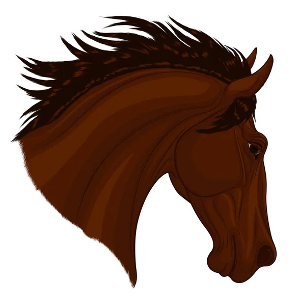 Retrato Semental Marrón Oscuro Arqueado Cuello Durante Salto Cabeza Caballo — Vector de stock