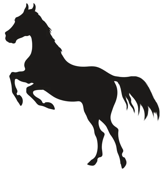 Schwarze Silhouette Eines Hengstes Der Auf Seinen Hinterbeinen Steht Pferd — Stockvektor