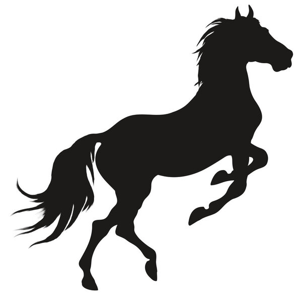 Черный силуэт воспитывающей лошади. Скачущий жеребец уколол ему уши. Элемент векторного дизайна для конных изделий изолирован на белом фоне.