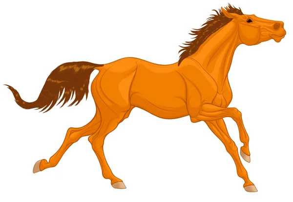 Chestnut Thoroughbred Horse Galloping Its Head Running Stallion Laid Its — Stock Vector