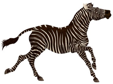 Zebra başı yukarıda dört nala koşar. Koşan çizgili aygır kulaklarını arkaya koydu. Afrikalı tasarımlı mallar için vektör klipsleme sanatı. Vahşi yaşam turizmi ve eğlence için dekorasyon amblemi.