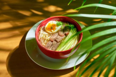 Erişteli baharatlı Asya Sichuan çorbası, kıyma, yumurta ve salatalık..