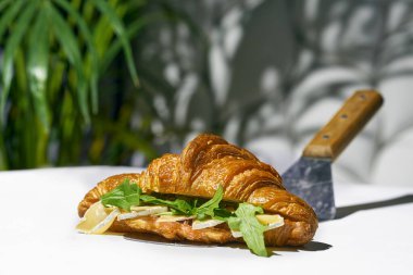 Krem peynirli, roka soslu kruvasan sandviçi. Sert ışık. Beyaz arkaplan