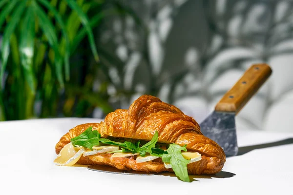 Sanduíche Croissant Com Queijo Brie Rúcula Luz Forte Fundo Branco — Fotografia de Stock