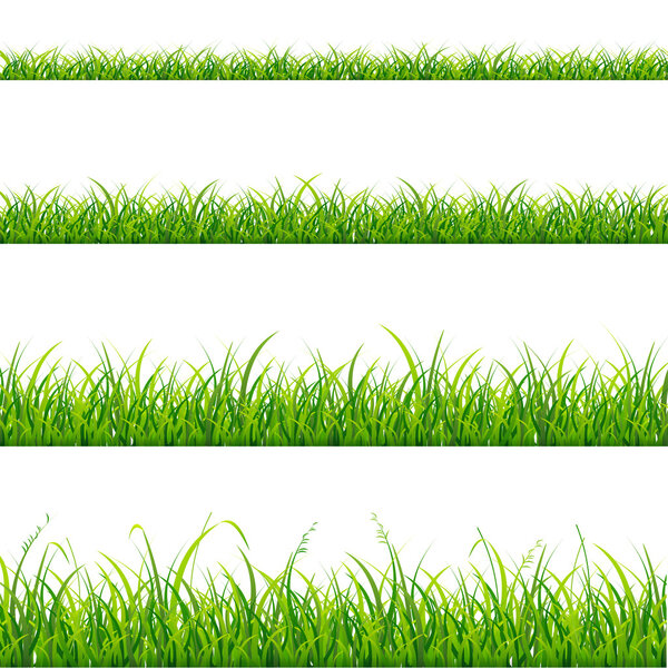 Sistema de línea de hierba verde. Vector de — Vector de stock