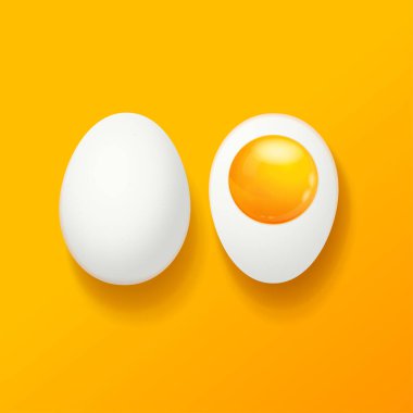 Gerçekçi Detaylı 3 boyutlu Tavuk Yumurtası ve Yarım Seti. Vektör