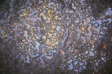 Islak asfalttaki yağ lekesi bir arabanın ya da kamyonun altındaki sızıntıdan kaynaklanıyor. Çevresel petrol kirliliği.