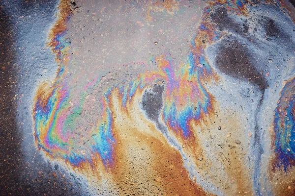 Oil slick looks like a bird on the asphalt road background. Oil stain on Asphalt, color Gasoline fuel spots on Asphalt Road as Texture or Background