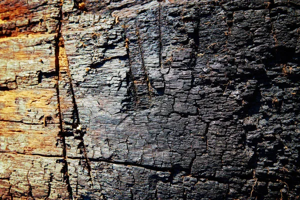 Antiguo Patrón Textura Tronco Roble Carbonizado Madera —  Fotos de Stock