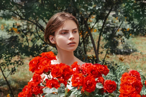 美しいです女の子後ろに咲く赤いバラの茂み — ストック写真