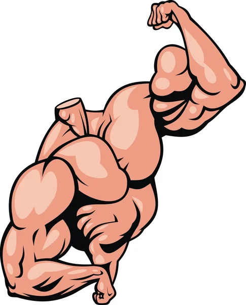 Corpo muscular humano — Vetor de Stock