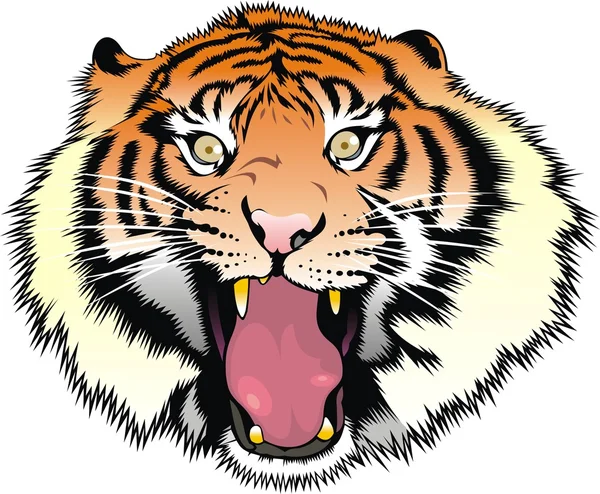 Cabeza de tigre aislada — Vector de stock