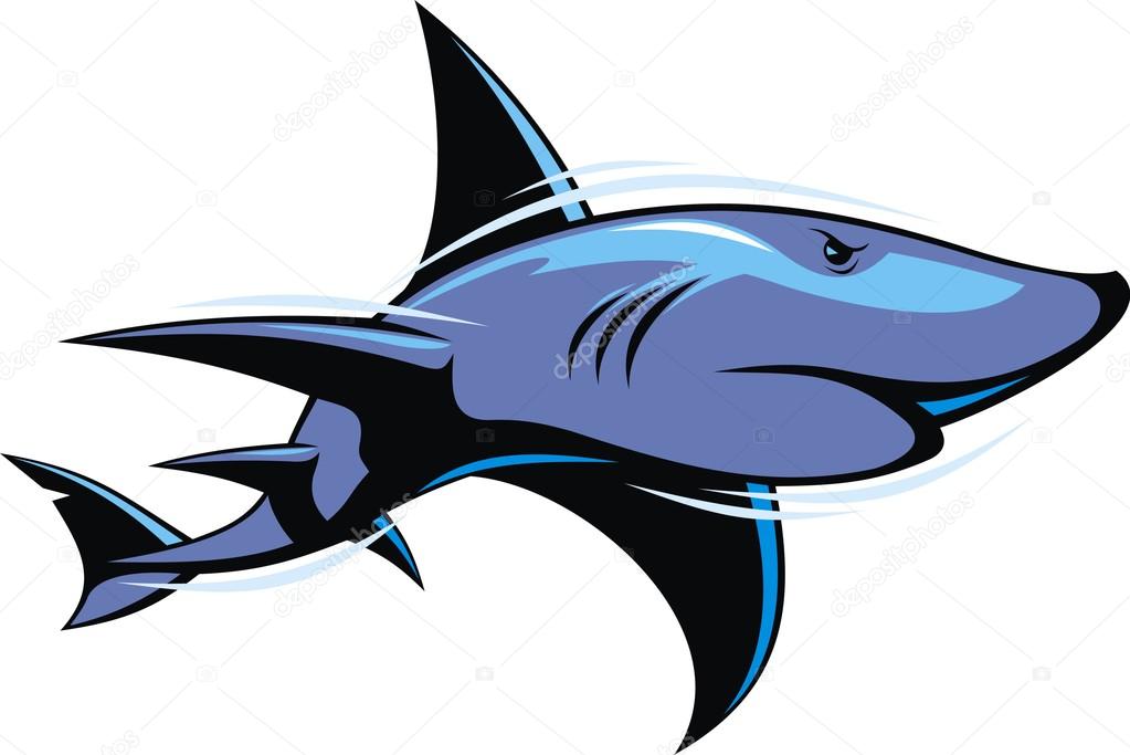 Shark fish isolated on the white background