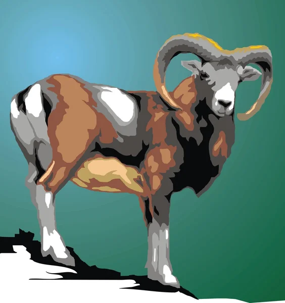 Divokého muflona zvíře — Stockový vektor