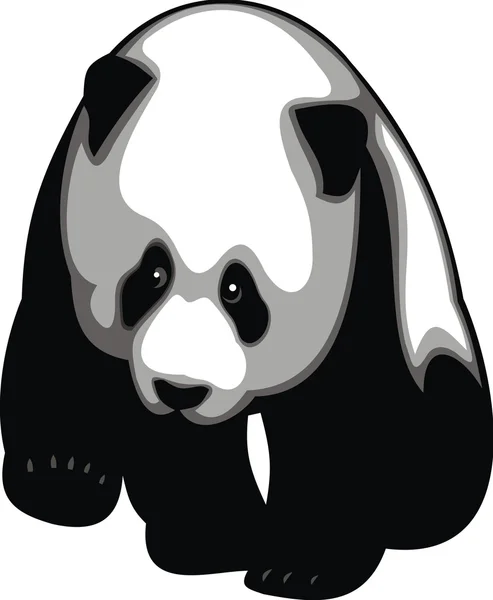 Animal panda blanco y negro — Archivo Imágenes Vectoriales