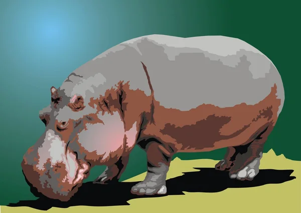 Hipopótamo grande salvaje — Archivo Imágenes Vectoriales