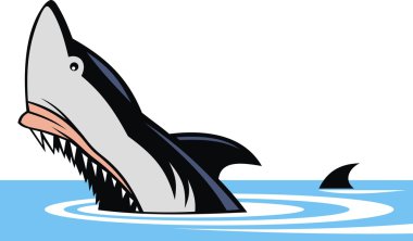 izole köpek balığı balık