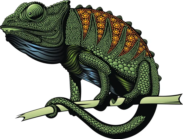 绿色的变色龙动物 — 图库矢量图片