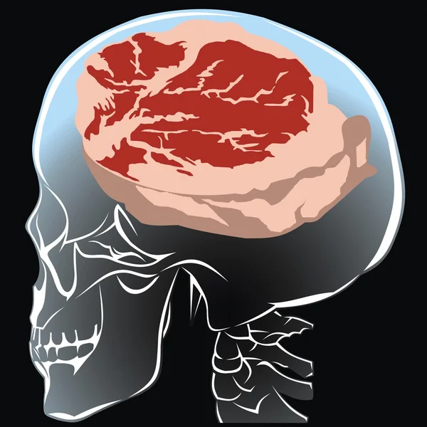 Färskt kött i det mänskliga huvudet — Stock vektor