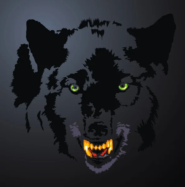 Wolf head in the dark night — Stock Vector