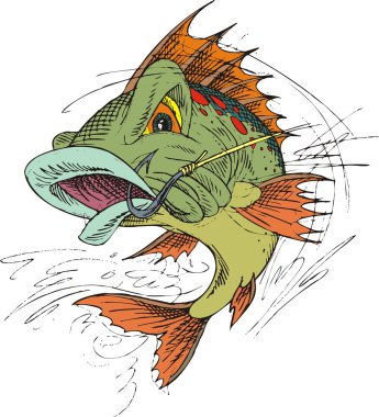 izole blackback balık