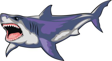 izole vahşi köpek balığı