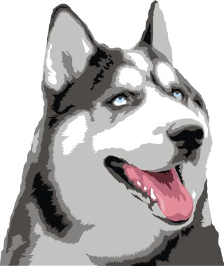 wolf başkanı